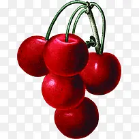 手绘红色复古水果-空若网 手绘红色复古水果-空若网