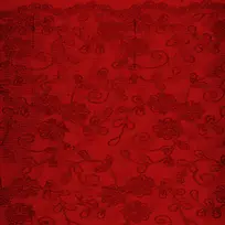 红色植物复古背景-空若网 红色植物复古背景-空若网