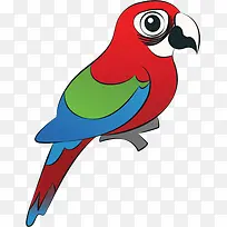 红毛鹦鹉-空若网 红毛鹦鹉-空若网