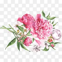 手绘花-空若网 手绘花-空若网