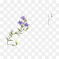 手绘花卉-空若网 手绘花卉-空若网