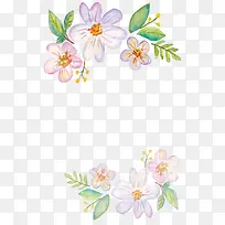 矢量花卉边框-空若网 矢量花卉边框-空若网