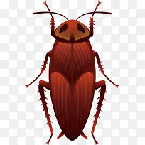 蟑螂-空若网 蟑螂-空若网