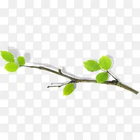 春季清新文艺树枝-空若网 春季清新文艺树枝-空若网