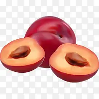 李子矢量图-空若网 李子矢量图-空若网