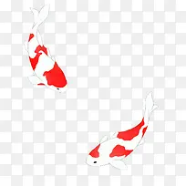 ��ɫС��ɰ�����-������