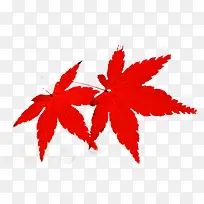 ��ɫ��Ҷ�ɰ�����-������