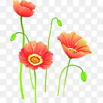 手绘红色花朵可爱-空若网 手绘红色花朵可爱-空若网