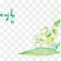 ˮ�ʿ�ͨ��Ҷ-������