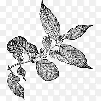 创意手绘合成树叶-空若网 创意手绘合成树叶-空若网