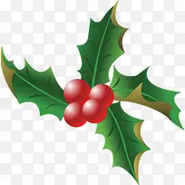 手绘圣诞节树叶装饰-空若网 手绘圣诞节树叶装饰-空若网