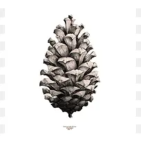 �����ɹ�-������