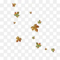 漂浮的彩色枫叶-空若网 漂浮的彩色枫叶-空若网