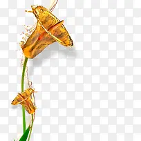 �ֻ����Ȼ�-������