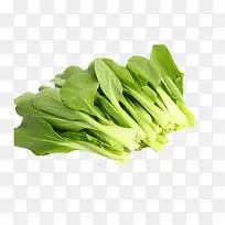 Êß²Ë-¿ÕÈôÍø Êß²Ë-¿ÕÈôÍø