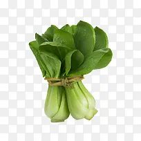 白菜-空若网 白菜-空若网