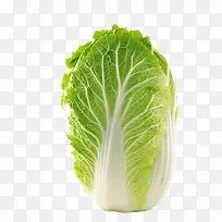 白菜-空若网 白菜-空若网