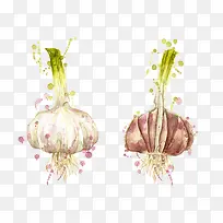 卡通手绘水墨大蒜-空若网 卡通手绘水墨大蒜-空若网