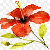 手绘插画海报花朵元素-空若网 手绘插画海报花朵元素-空若网