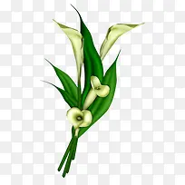 小草-空若网 小草-空若网