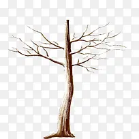 ������֦��Ʒ���ز�-������