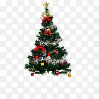 ʥ�����̳�ʥ���ں���-������