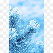 树枝背景-空若网 树枝背景-空若网