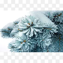 ʥ��������-������