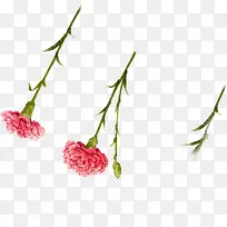 红色水彩花朵植物-空若网 红色水彩花朵植物-空若网