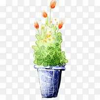 红色花朵植物彩色-空若网 红色花朵植物彩色-空若网