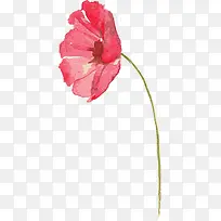红色水彩花朵美丽-空若网 红色水彩花朵美丽-空若网