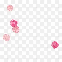 红色立绘高清花朵摄影-空若网 红色立绘高清花朵摄影-空若网