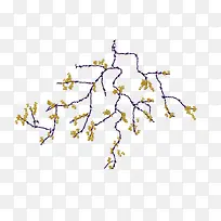 彩绘红色花朵黑树枝-空若网 彩绘红色花朵黑树枝-空若网