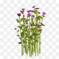 绿草红色花朵素材-空若网 绿草红色花朵素材-空若网