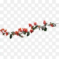 ��ɫ��֦������֦-������