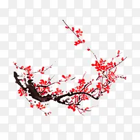 Ë®²Ê÷»¨ºìÉ«»¨¶ä-¿ÕÈôÍø Ë®²Ê÷»¨ºìÉ«»¨¶ä-¿ÕÈôÍø