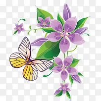 Ë®²ÊºìÉ«»¨¶äºûµû-¿ÕÈôÍø Ë®²ÊºìÉ«»¨¶äºûµû-¿ÕÈôÍø