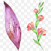 水彩叶子红色花朵-空若网 水彩叶子红色花朵-空若网