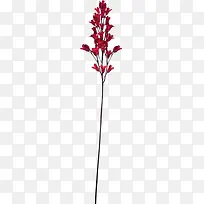 ��ɫ������֦-������