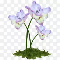 切花植物茎春-空若网 切花植物茎春-空若网