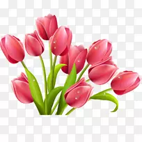 �����㻨��������-������-������