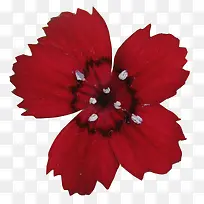 波浪线条素材线条图片素材-空若网 波浪线条素材线条图片素材-空若网