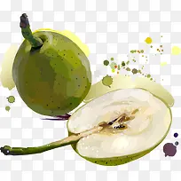 矢量梨子-空若网 矢量梨子-空若网