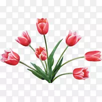 郁金香花束夹艺术-郁金香-空若网 郁金香花束夹艺术-郁金香-空若网
