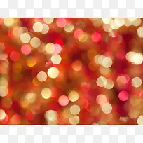 ʥ���ڱ���-������