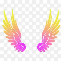 彩色飞舞翅膀-空若网 彩色飞舞翅膀-空若网