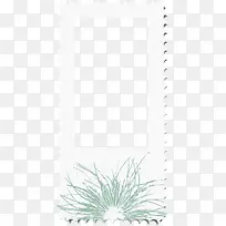 ��ɫֲ���ɫ�߿�-������