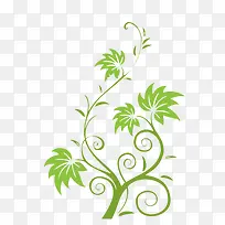 树藤边框-空若网 树藤边框-空若网