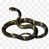 ��ɫ�۾���-������