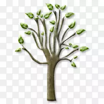树枝-树木-空若网 树枝-树木-空若网